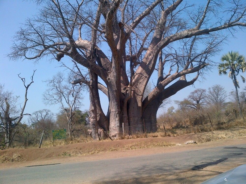 Lesoma Valley Lodge Kasane Buitenkant foto