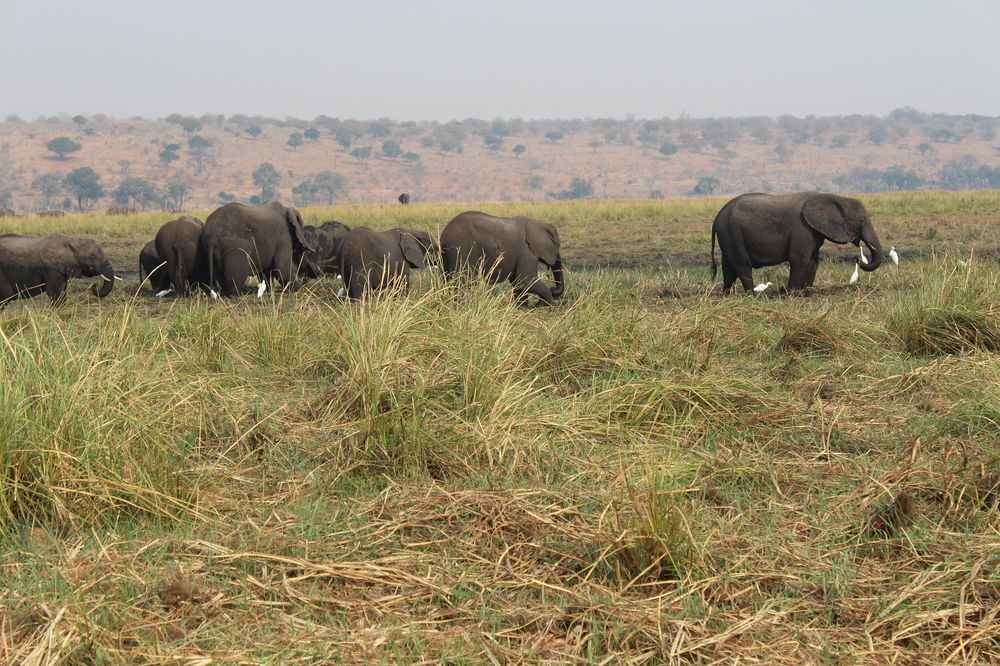 Lesoma Valley Lodge Kasane Buitenkant foto